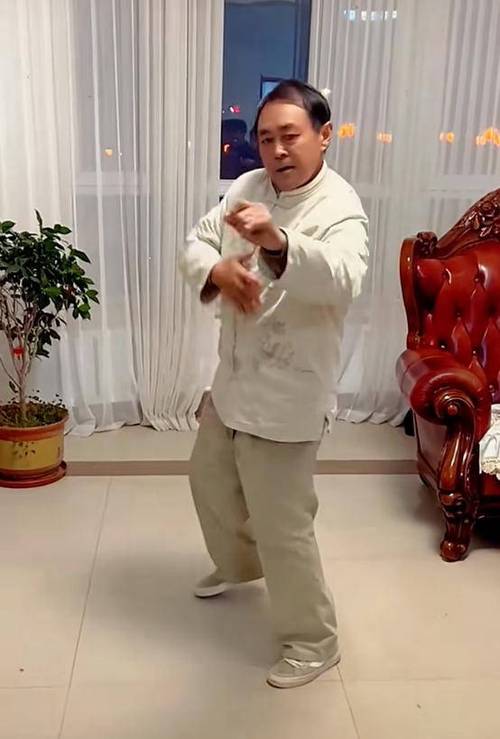 太极马保国简介图标