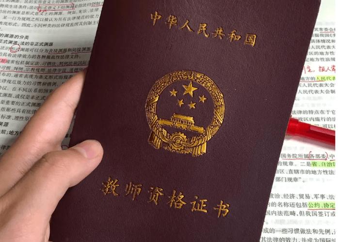 教育局会查私立学校教师资格证吗游戏截图