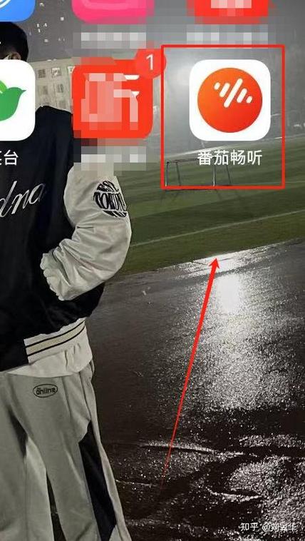 番茄离线朗读用不了图标