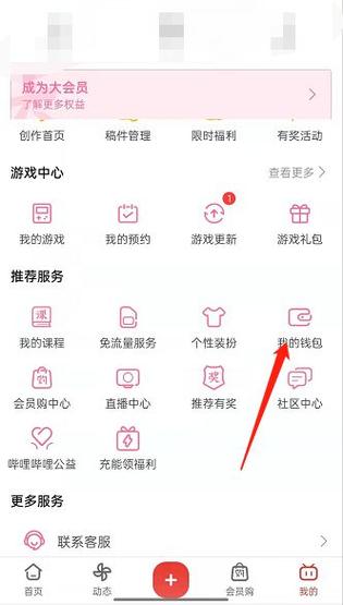 哔哩哔哩大会员兑换码在哪里看图标