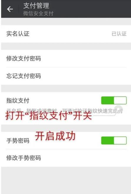微信服务找不到指纹支付选项的原因游戏截图