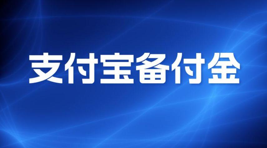 支付宝备付金账户给我转了一笔钱