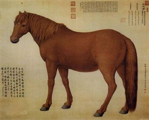 赤兔赤兔的梗来源和历史背景介绍缩略图