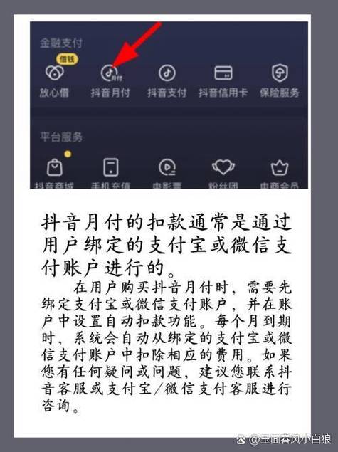 抖音月付是扣哪里的钱图标