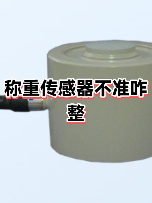 称重传感器不显示重量游戏截图