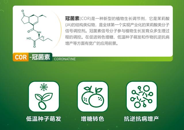 水果质量问题赔偿标准游戏截图