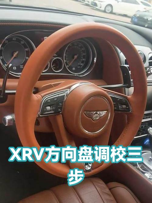 方向盘校准力度大是什么意思游戏截图