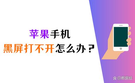 苹果手机突然黑屏充电又亮了游戏截图