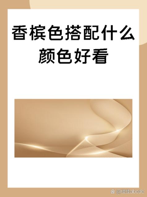 香槟色外套配什么颜色打底游戏截图