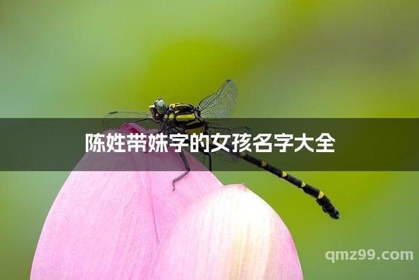 带姝字的女孩高雅名字缩略图