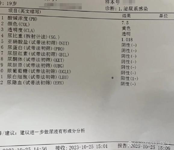 常规wsw是什么检查图标