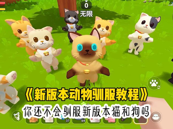 迷你世界新版本怎么驯服小狗缩略图