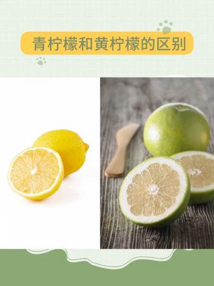黄柠檬和青柠檬的功效区别是什么游戏截图