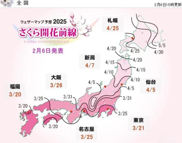 日本樱花什么时候盛开缩略图