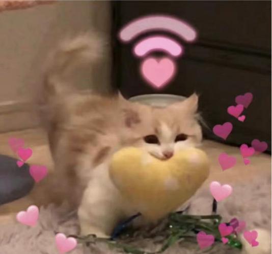 猫爱心表情包图标