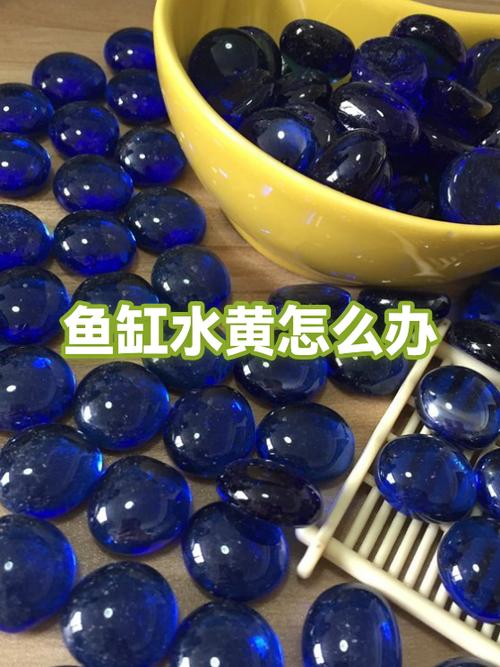 鱼缸水黄了最好的解决办法游戏截图