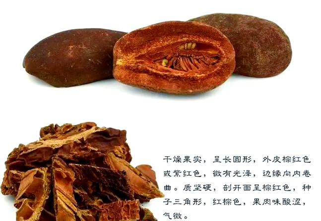 中药木瓜的作用和功效图标