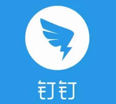 一个手机能登录两个钉钉账号吗游戏截图