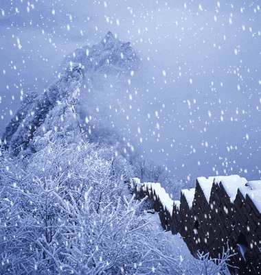 真实雪花飘落动态图片缩略图