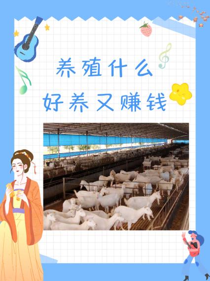养羊和养鸡哪个最赚钱