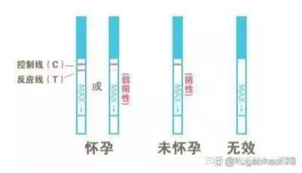 怎么察觉自己怀孕了图标