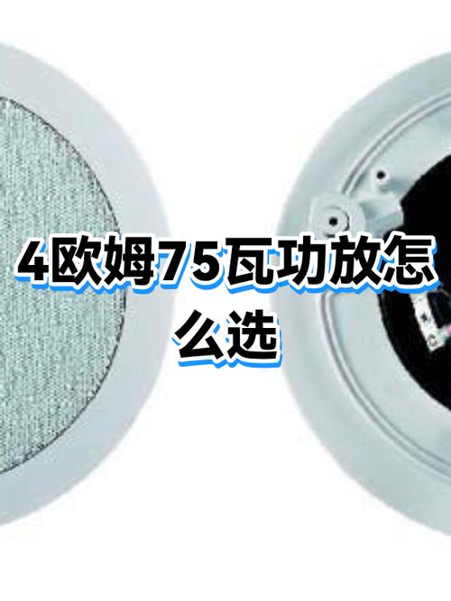 功放机后面4-16欧是接什么的110V缩略图