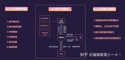 达人和mcn机构是什么意思图标
