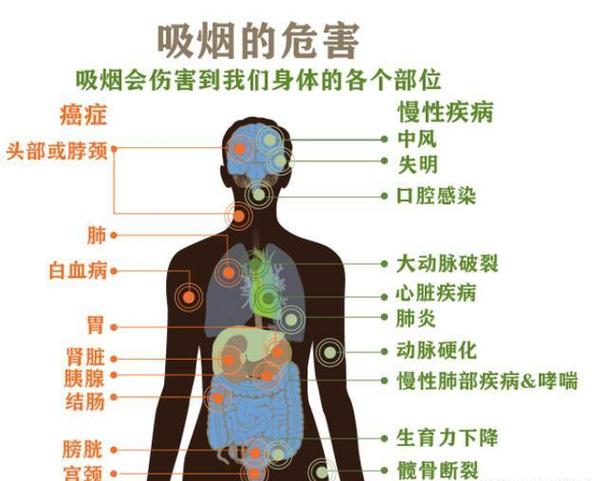 尼古丁口香糖对人身有什么伤害图标
