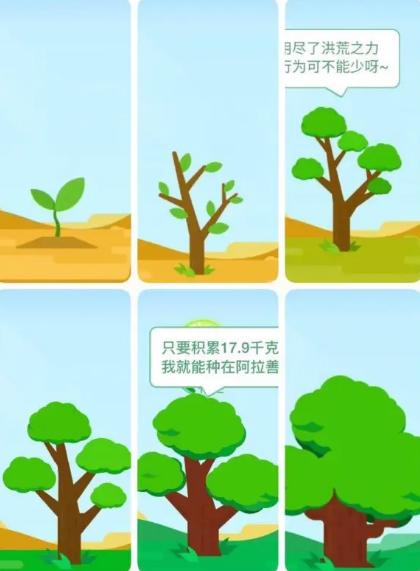 蚂蚁森林一年种多少树缩略图