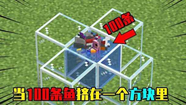 我的世界鱼为什么挤在一起缩略图