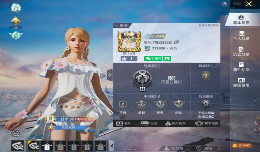 和平精英qq土豪账号和密码缩略图