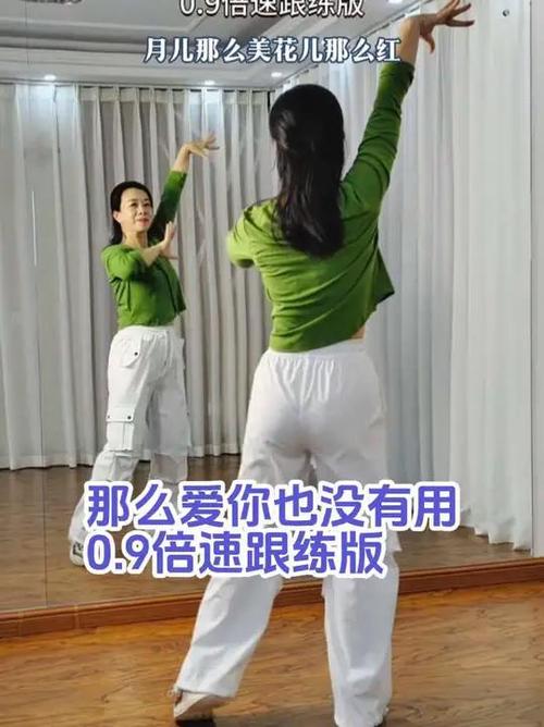 跳广场舞视频教学初学简单缩略图