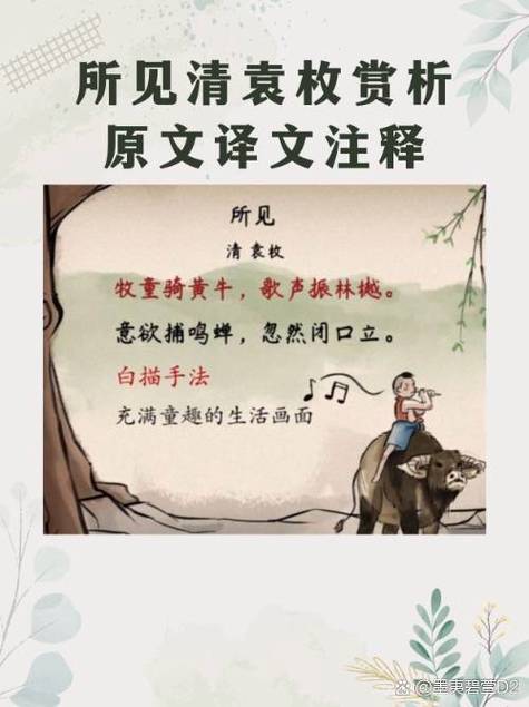 古诗文翻译器在线翻译缩略图