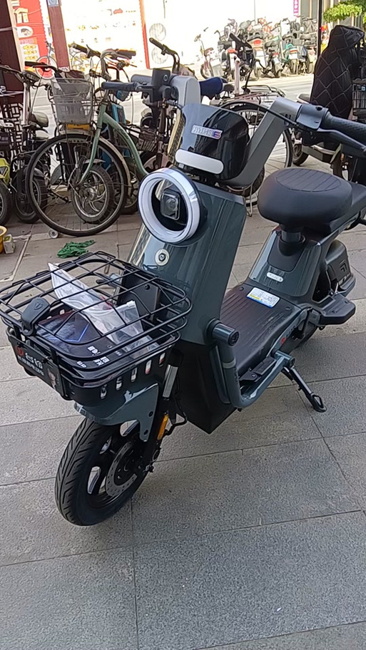台铃电动车各种款式及价格图标