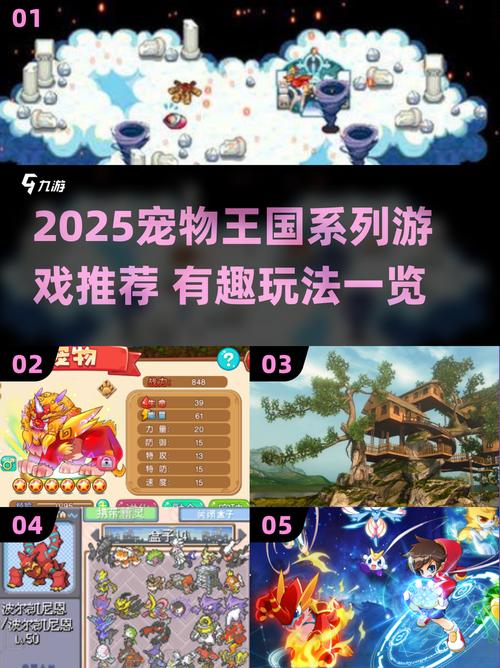 宠物王国242圆梦版