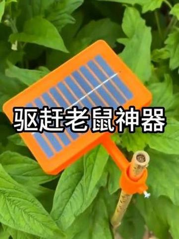 驱鼠猫叫声管用吗图标