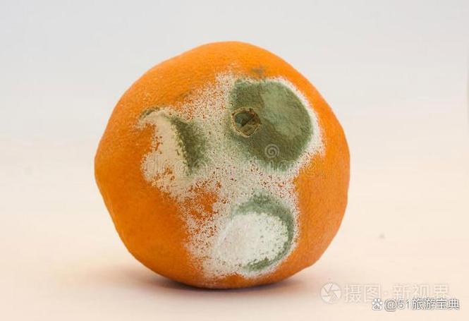 食品未过期,但发霉了怎么赔缩略图