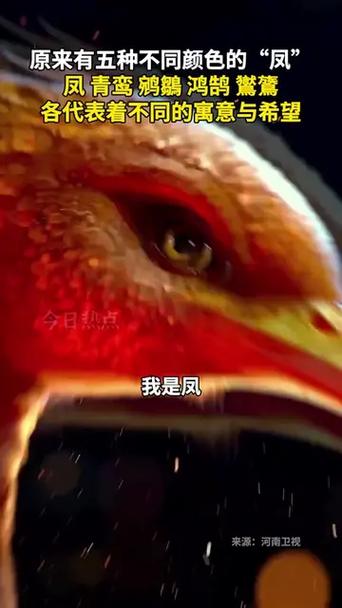 五种颜色的凤凰分别叫什么图标