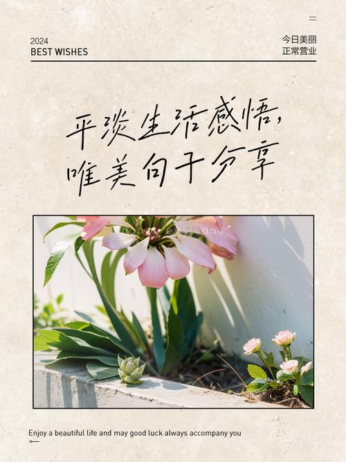 平淡生活最经典十句话缩略图