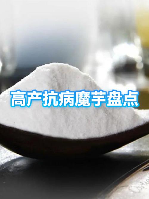 魔芋有几个品种图片图标