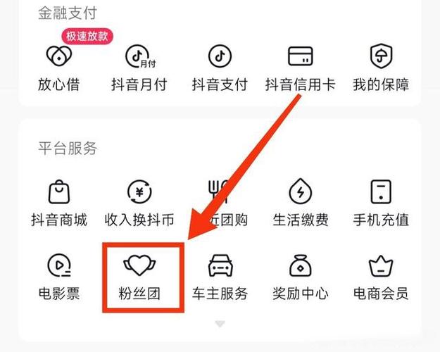 加入抖音粉丝团多少钱缩略图