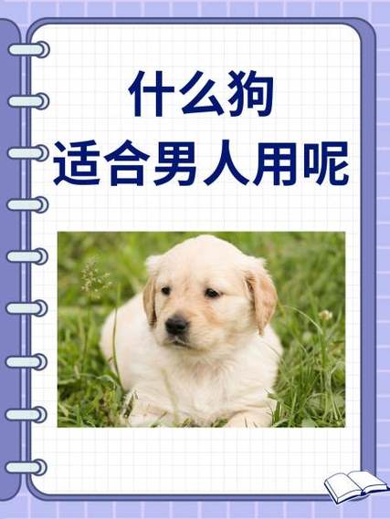 男生叫女生小狗代表什么含义图标