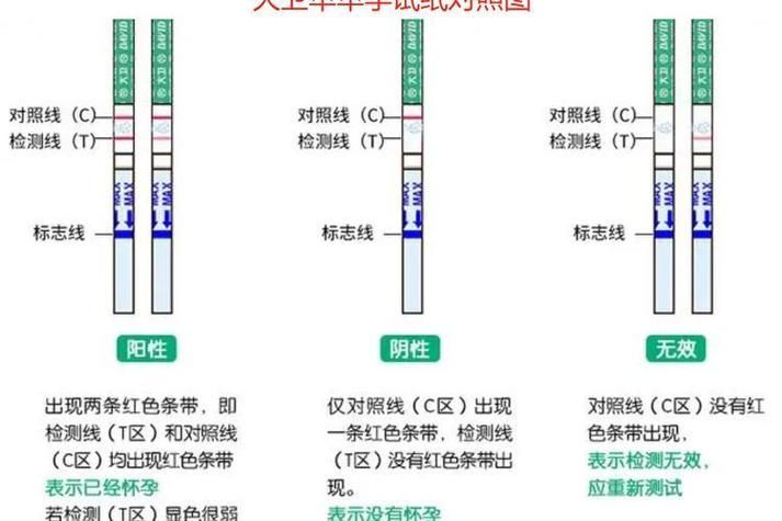 如何判断自己怀孕没图标