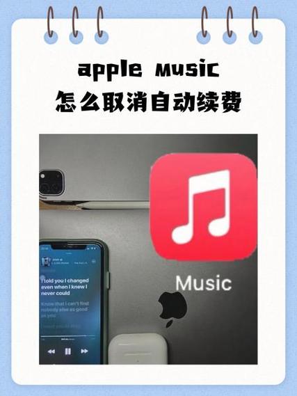 apple music车载不显示歌词图标