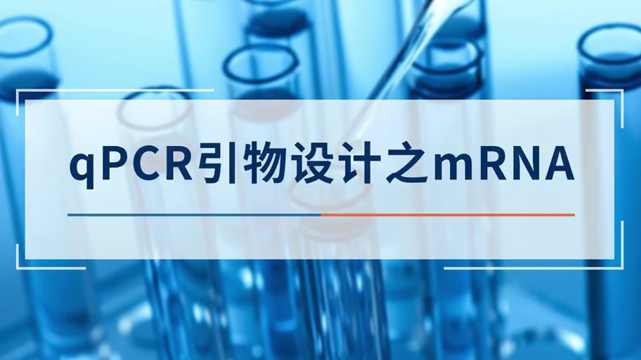 primer名称合成引物图标