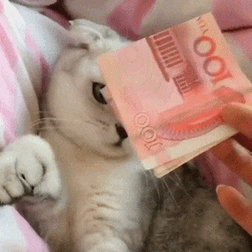 美好夜晚从现在开始表情包gif大全图标