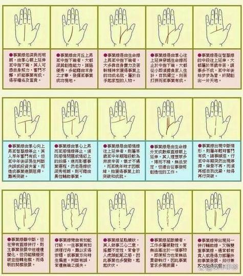 指纹算命图解大全图标
