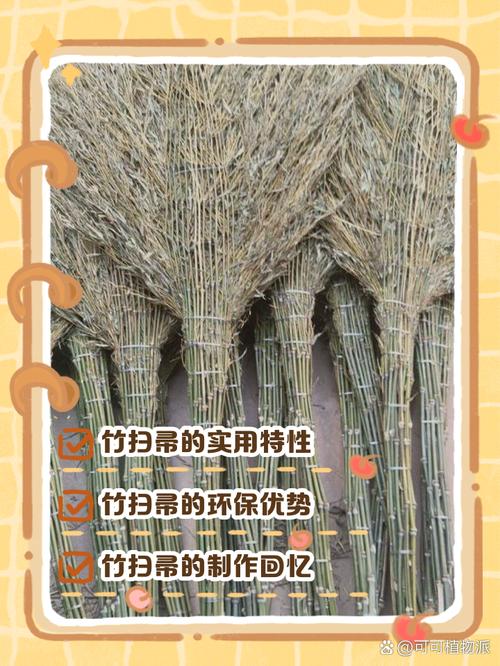 竹帮帮是干嘛的缩略图