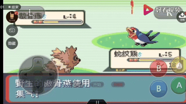 口袋妖怪蛇纹木特殊精灵缩略图