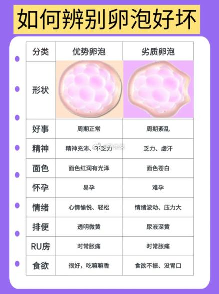 卵泡少是不是很难怀孕图标
